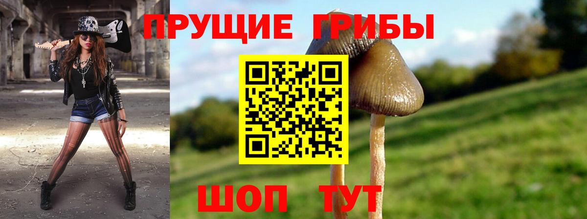 Псилоцибиновые грибы Magic Shrooms Кудрово