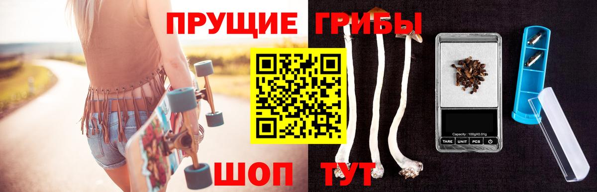 Кудрово  Галлюциногенные грибы Magic Shrooms  Псилоцибиновые грибы Magic Shrooms  где найти   Вход с VPN 