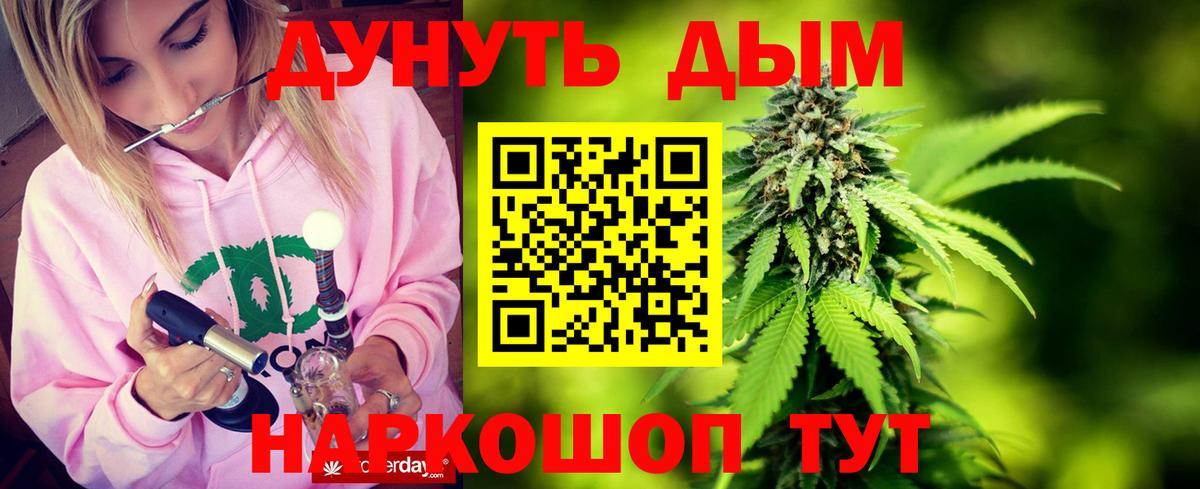 Бошки марихуана OG Kush Кудрово